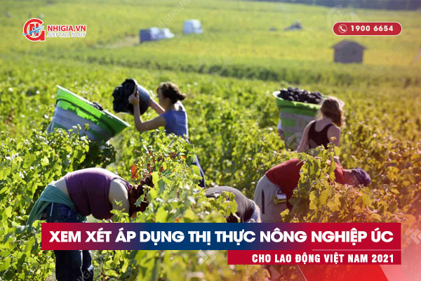 Nóng: Xem xét áp dụng thị thực nông nghiệp Úc cho lao động Việt Nam 2021